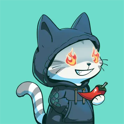 Hypurr #1244