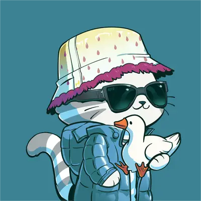 Hypurr #1298