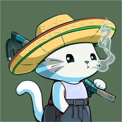 Hypurr #1337