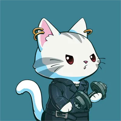 Hypurr #1729
