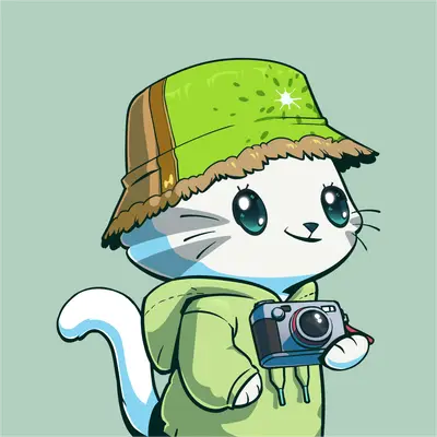 Hypurr #2062