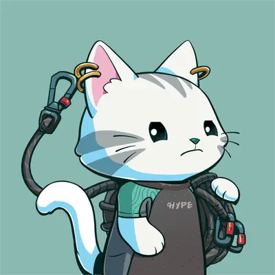Hypurr #2069