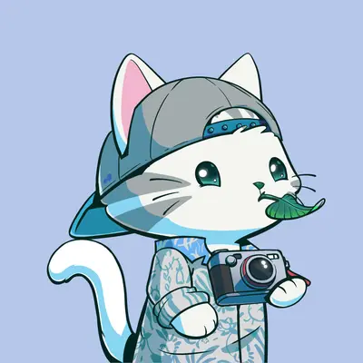 Hypurr #2370