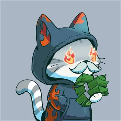 Hypurr #2406
