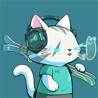 Hypurr #2447