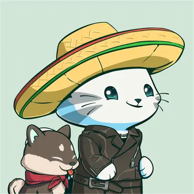 Hypurr #2673