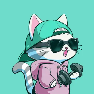 Hypurr #4060