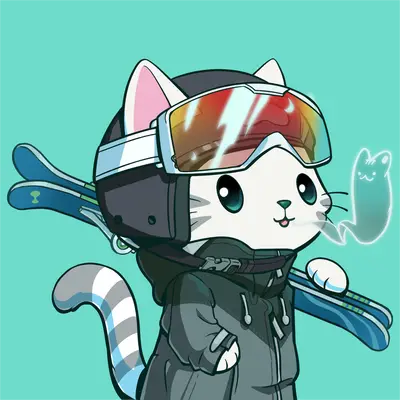 Hypurr #4339